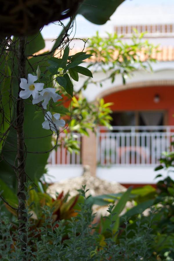 Bungalows Las Tortugas Lo de Marcos Zewnętrze zdjęcie